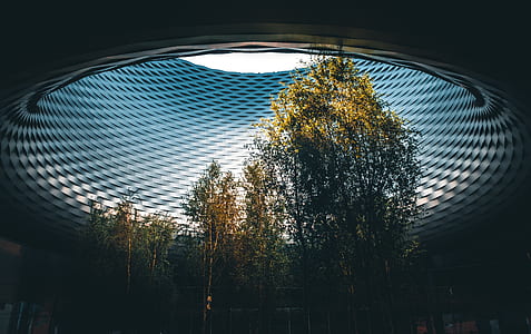 landscape photography of green tree inside of dome thumbnail