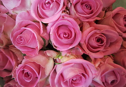 selective focus of pink rose bouquet thumbnail