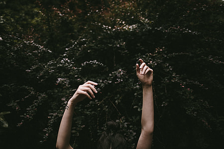 person raising arms near tree thumbnail