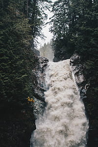 waterfalls and forest thumbnail