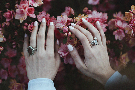 person touching pink petaled flower thumbnail