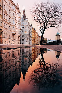 body of water near white and brown concrete buildings and tree at daytime thumbnail