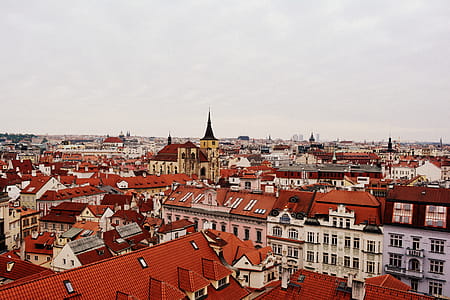 Aerial Photography of Red Roof Buildings thumbnail
