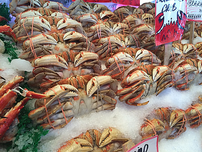 red and white Crabs thumbnail