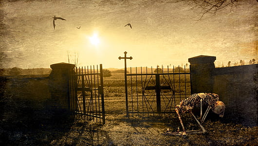skeleton near open gate thumbnail