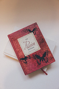 The Passion Within book on white surface thumbnail