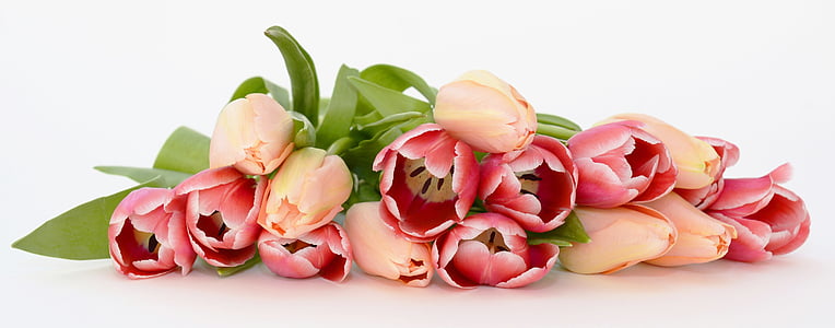 peach and pink tulips bouquet thumbnail