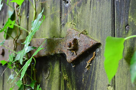 green wooden fence surrounded with leaves thumbnail