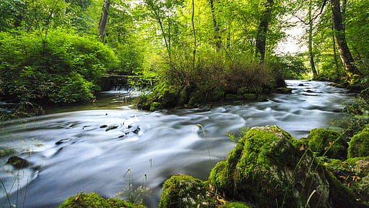 time-lapse photography of body of water surrounded by trees thumbnail