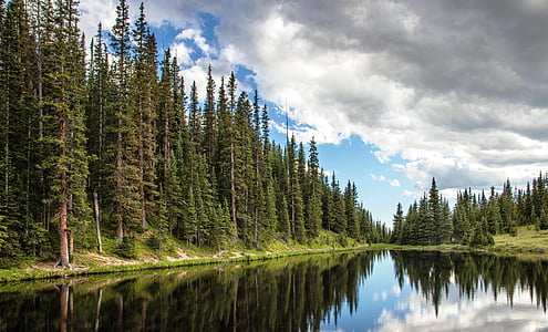 body of water surrounded by fine trees thumbnail