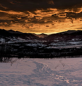 photo of mountains with trees thumbnail