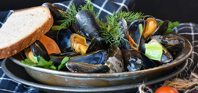 mussel soup with bread and seaweeds thumbnail