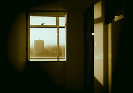 building see through window during daytime thumbnail