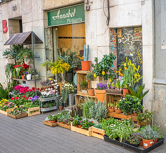assorted-color-and-type flowers displayed outside Annabel Floristeria store thumbnail