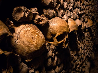 brown skull emboss decor thumbnail