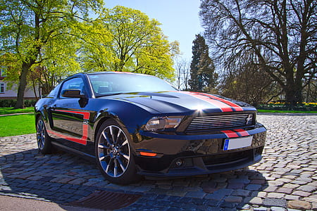 ford-mustang-gt-sports-car-thumb.jpg