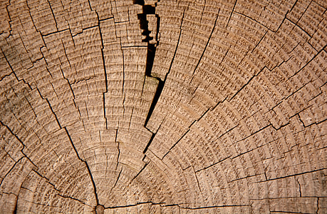 brown wood thumbnail