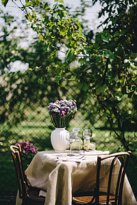 Healthy lunch in the garden thumbnail