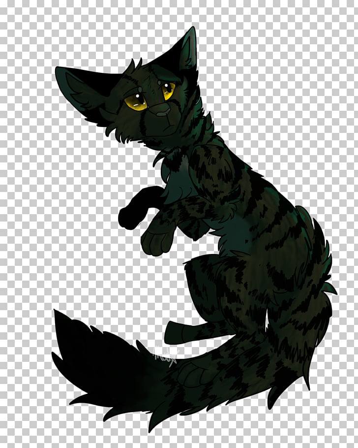Black Cat Domestic Short Haired Cat Tabby Cat Whiskers Cat Png