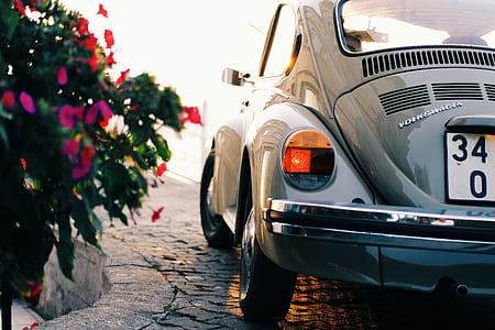 gray Volkswagen Beetle coupe parked beside purple petaled flowers at daytime thumbnail