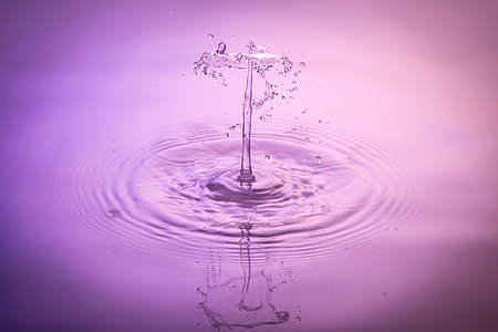 shallow focus photography of water drops thumbnail