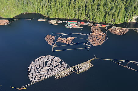 aerial view of forest and ocean thumbnail