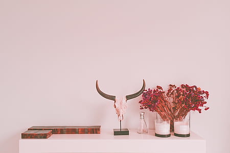 horned skull placed on white wooden side table thumbnail