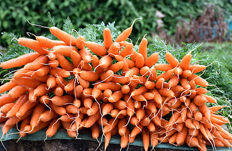 bunch of carrots on green surface thumbnail
