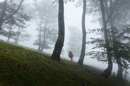 person standing by the tree thumbnail