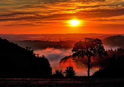 silhouette of trees under orange sunset thumbnail