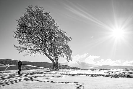cold, snow, landscape, mountains thumbnail