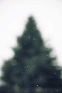 green Christmas tree illustration thumbnail