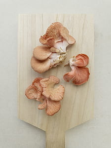 mushrooms on brown chopping board thumbnail