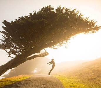 person jumps under tree thumbnail