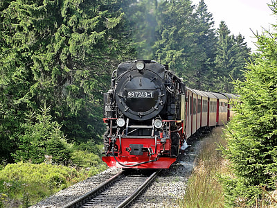 red and black train on railings surrounded by trees thumbnail