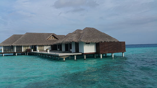 white and brown wooden nipa hut houses thumbnail