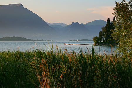 landscape photography of green grass field beside body of water thumbnail