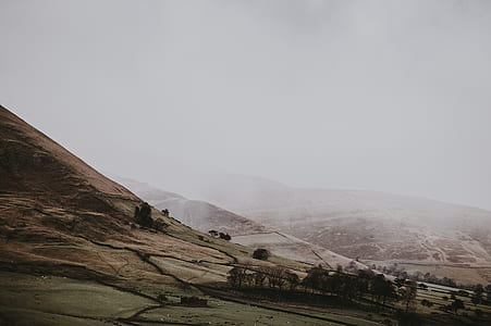 trees on hill thumbnail