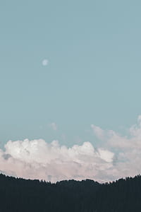 view of moon over white clouds on top of silhouette of trees thumbnail