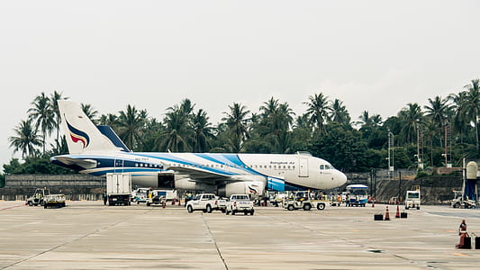 white and blue airplane thumbnail