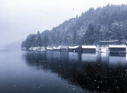 brown wooden houses near body of water thumbnail