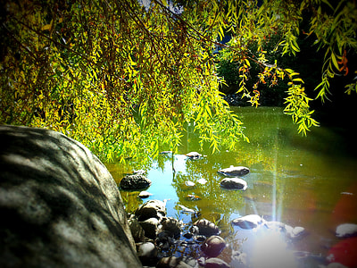 rocks on body of water thumbnail