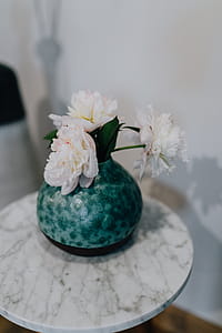 Peony flowers in vase thumbnail