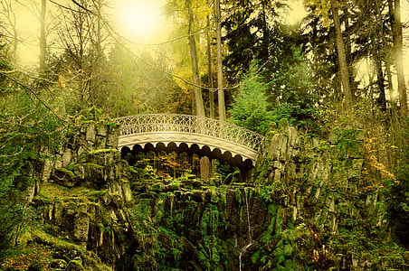 photo of brown bridge in forest thumbnail
