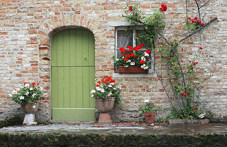 white and red petaled flowers on bricked wall thumbnail