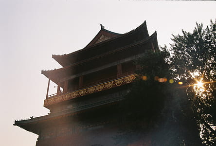 temple, house, roof, building thumbnail
