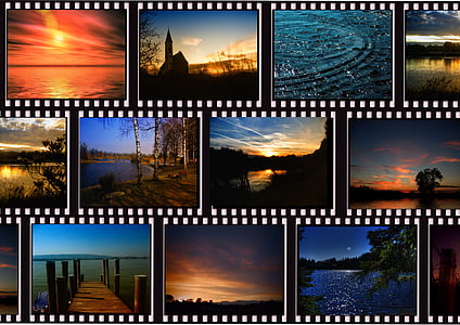 collage of photography thumbnail
