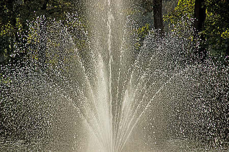 water fountain near green trees thumbnail