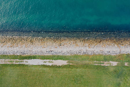 green grass field near the ocean thumbnail