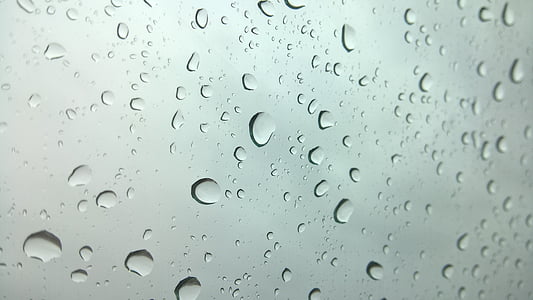 rain, water drops, rain drops, rainy day, rain background, nature thumbnail